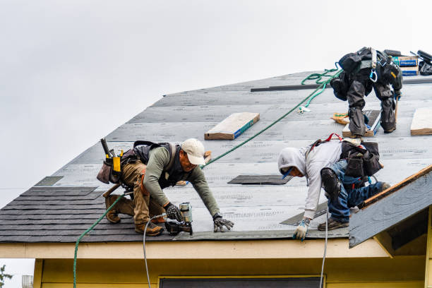 Professional Gutter Installation technician working in Winthrop, MN